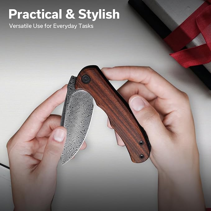 CIVIVI Folding Pocket Knife for EDC, Small Mini Praxis Knife for Men Women, 2.98" Damascus Blade