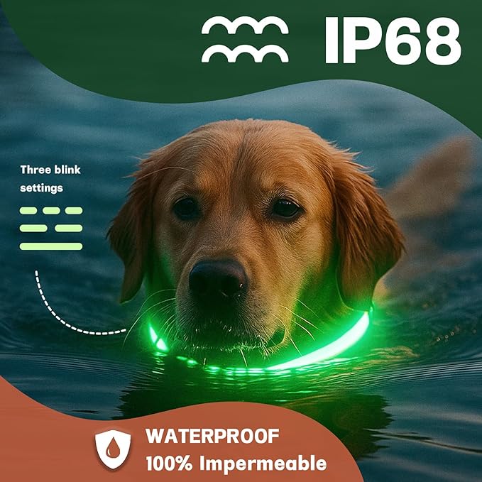 DOGWONG LED Dog Collar - Heavy Duty Light up Collars - Rechargeable Waterproof - Lighted Dog Collar