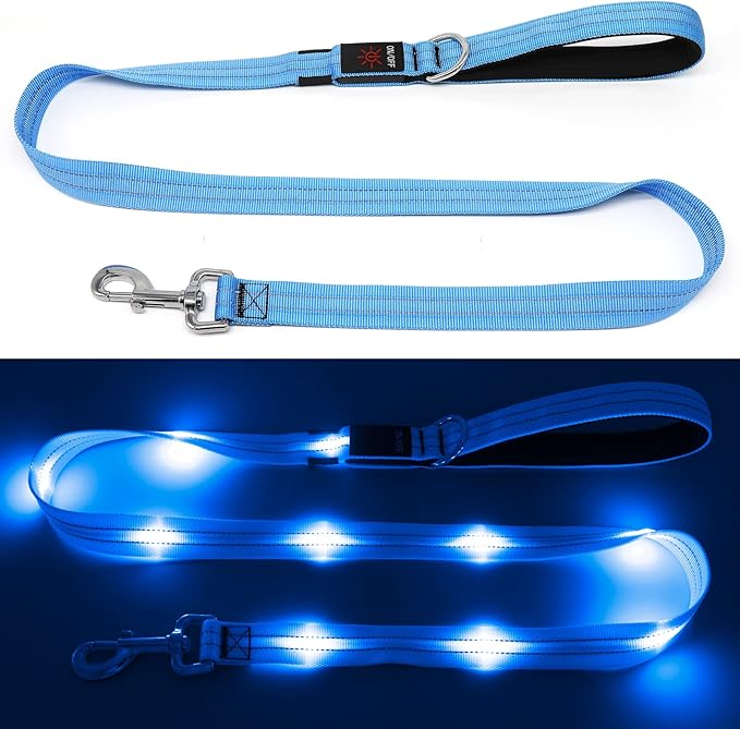 4 Ft LED Dog Leash, Rechargeable Light Up, Waterproof, Glow In The Dark, Nylon Reflective With