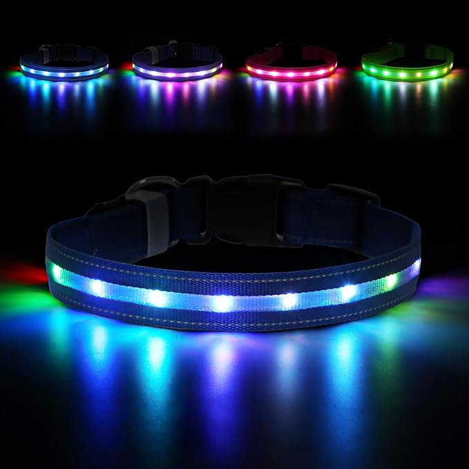 LED Dog Collar, Light Up Dog Collar, USB Rechargeable - Brightest Dog Lights for Night Walking, 6