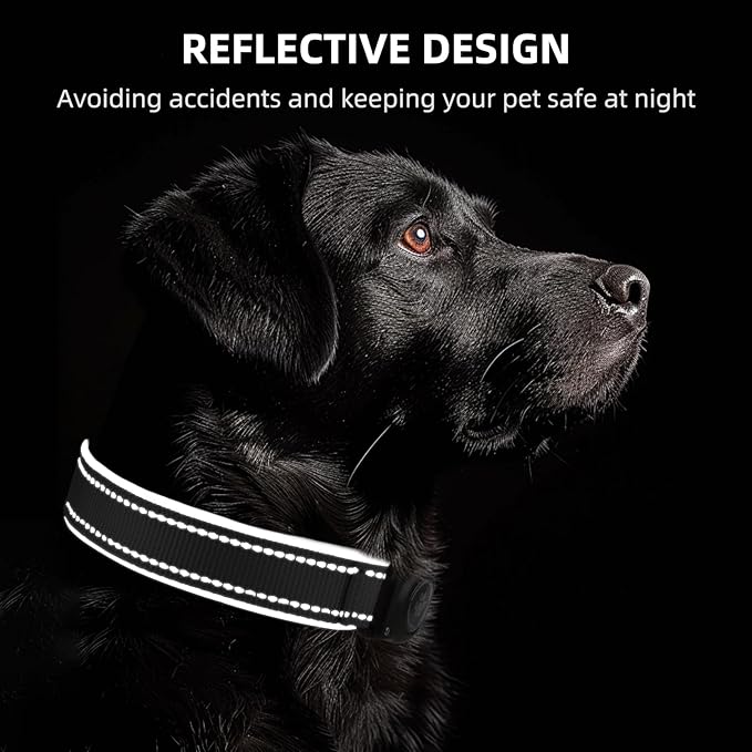 Airtag Dog Collar - 100% Waterproof AirTag Holder, Reflective, Soft Padded, Everlasting GPS Collar