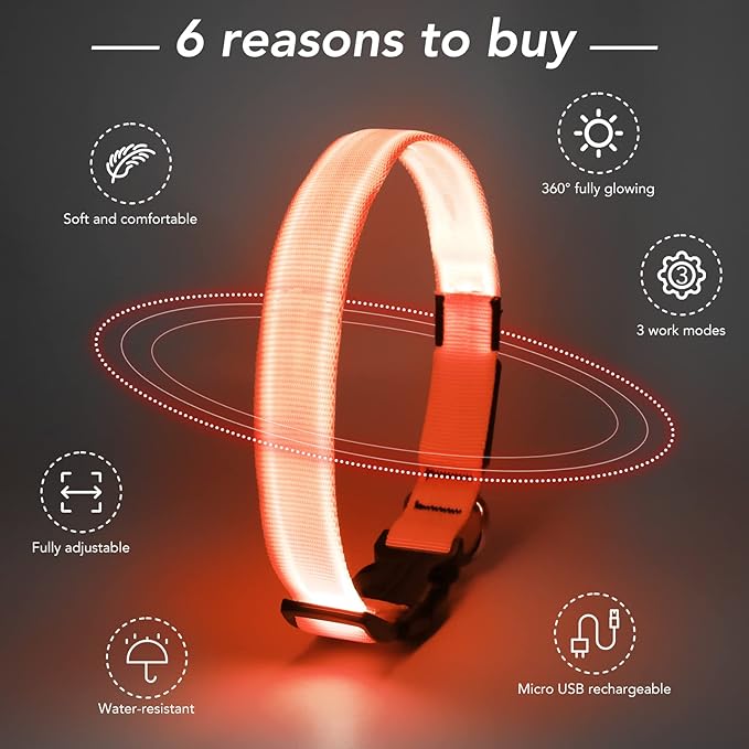 Light Up Collar at Night, LED Adjustable, Rechargeable Waterproof Dog Lights for Night Walking