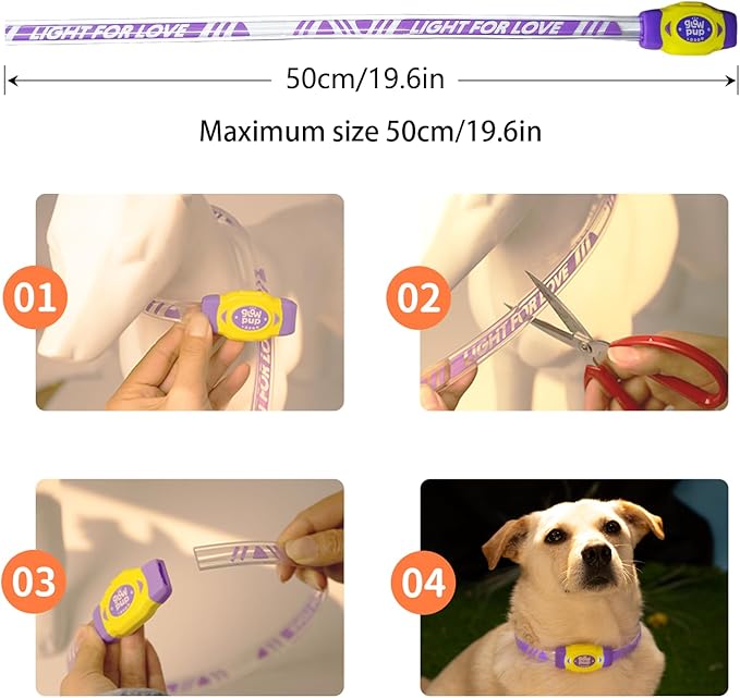 LaRoo LED Light Up Dog Collar, Type-C Rechargeable, Multi-Color Glowing Safety Pet Collar, Cuttable