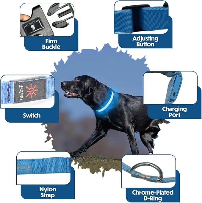 Light Up Dog Collar ??Reflective, Adjustable & Rechargeable Electronic Glow Pet Collars ??Bright