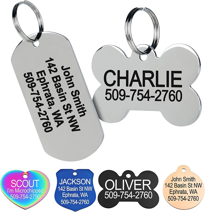 GoTags Stainless Steel Pet ID Tags, Personalized Dog Tags and Cat Tags, up to 8 Lines of Custom