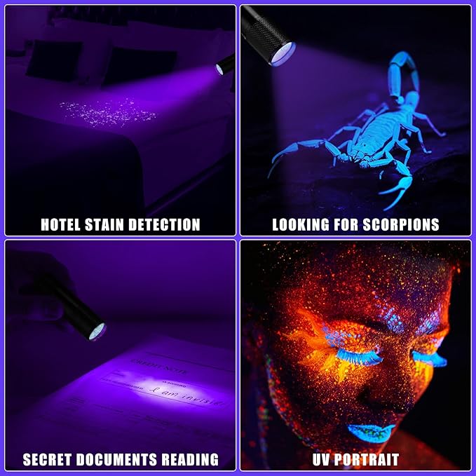 Hortsun Blacklight Flashlights Small UV Lights 395nm LED Portable Ultraviolet Light Detector Mini