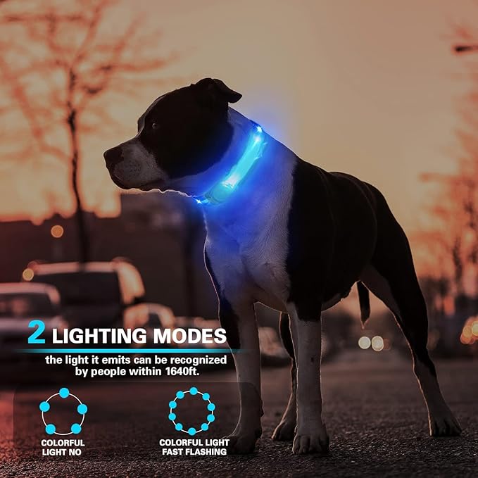 2 Pack LED Light for Dog Leash Harness, USB Rechargeable Light Up Collar with Nylon Stickers, Glow