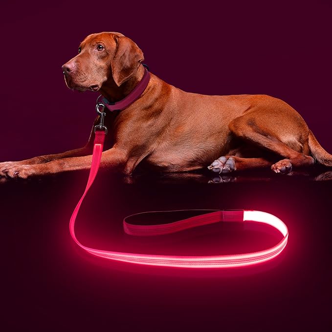 Colaseeme Light Up Dog Leash, LED Pet Leashes USB Rechargeable, Glow Safety Dogs Lights at Night