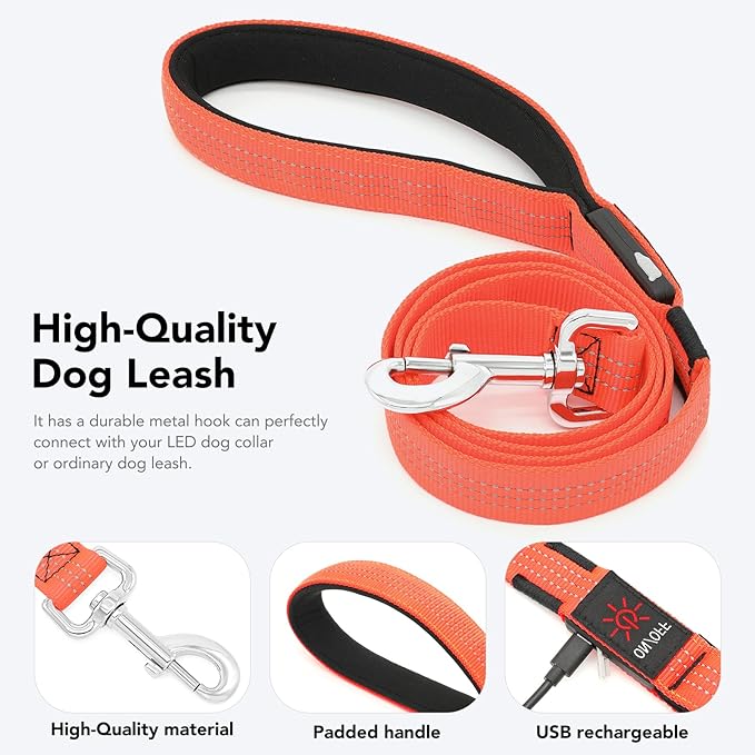 Colaseeme Light Up Dog Leash, LED Pet Leashes USB Rechargeable, Glow Safety Dogs Lights at Night