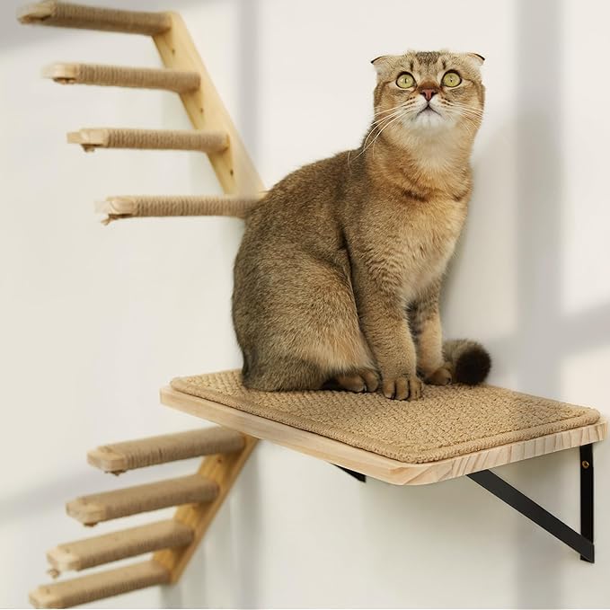 Cat Floating Wall Shelf with Scratching Mat, 1PC 9.7X16.6 Inch Large 1 Inch Thick Wood Cat Window