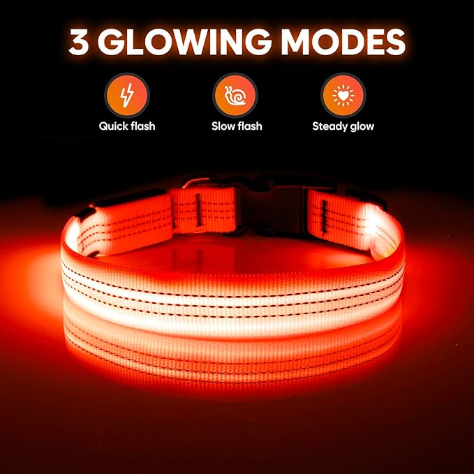 Illumifun Light Up Dog Collar USB Rechargeable LED Dog Collar, Adjustable Blinking Dog Light for