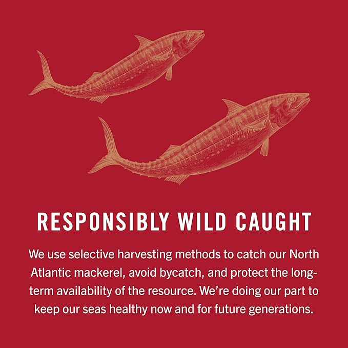King Oscar Mackerel in Olive Oil, Mediterranean Style, 4.05 Ounce Can (Pack of 12, Packaging May