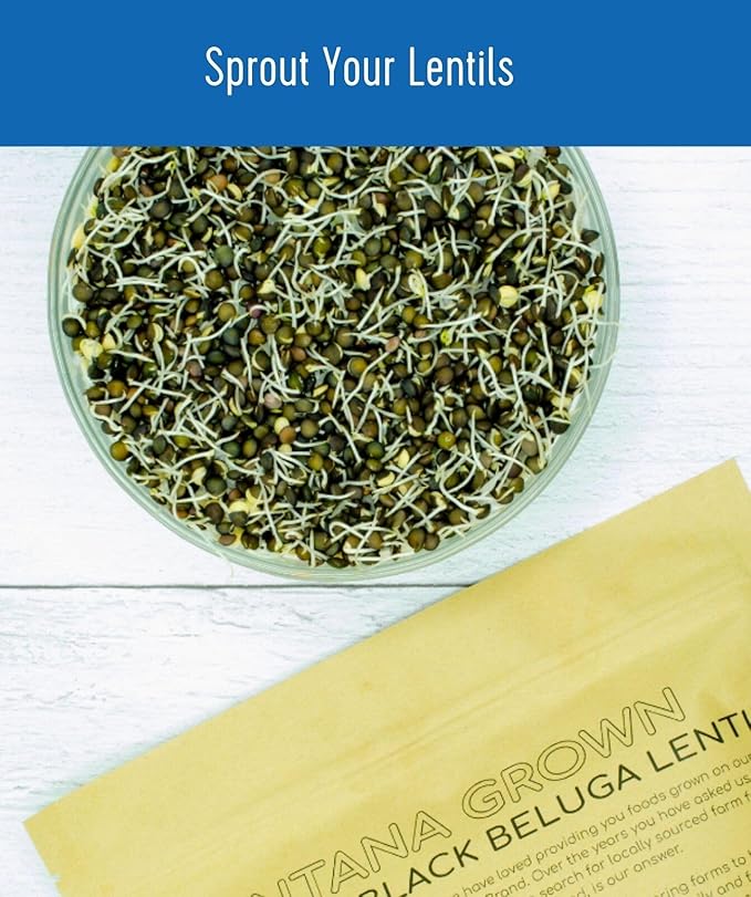 CLEAR CREEK Black Lentils | Caviar or Beluga Lentils | 25 lbs | Project Non-GMO Verified | Kosher |
