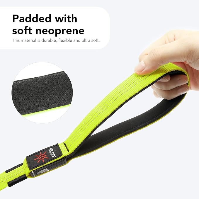 Colaseeme Light Up Dog Leash, LED Pet Leashes USB Rechargeable, Glow Safety Dogs Lights at Night