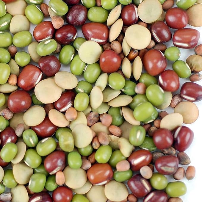 Bean Salad Sprouting Seed Mix- Organic- 1 Lbs- Mix of Bean Sprout Seeds: Adzuki, Mung Bean, Green
