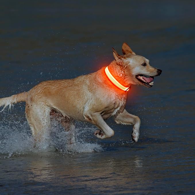 Illumifun Light Up Dog Collar USB Rechargeable LED Dog Collar, Adjustable Blinking Dog Light for
