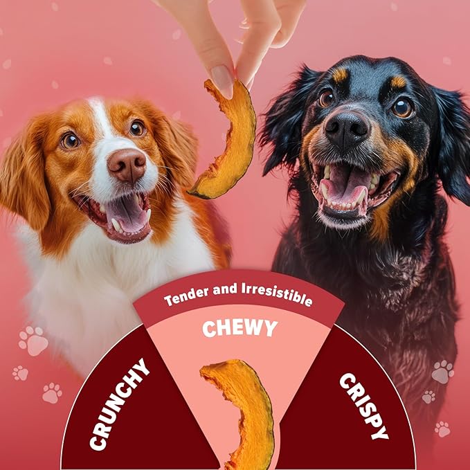 Pumpkin Chips for Dogs ??100% Natural Single Ingredient Dog Treats ??Crunchy & Crispy ??Easy to