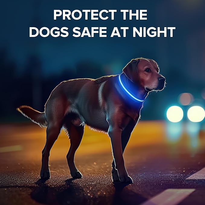 Light Up Dog Collar, Adjustable USB Rechargeable Glow in Dark Dog Collar ，Waterproof Dog Collars