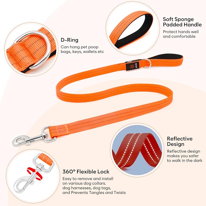 LED Dog Leash, 4 Ft Light Up, USB Rechargeable, Waterproof, Nylon Reflective with Padded Handle