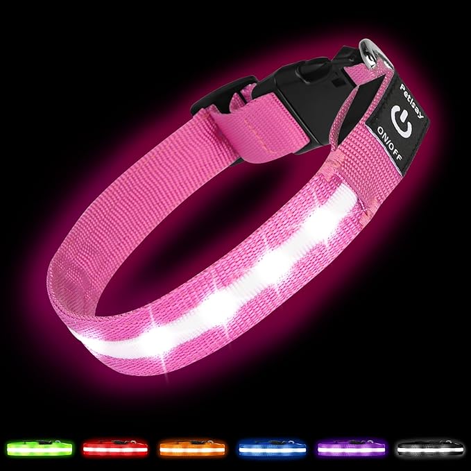 Super Bright LED Dog Collar - Fully Waterproof & Adjustable Glow Collar - USB-C Rechargeable for