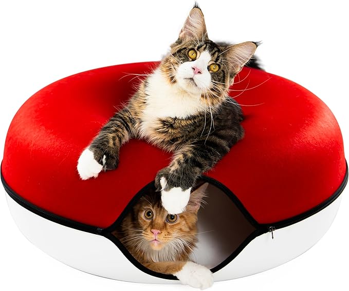 Cattasaurus Peekaboo Cat Cave, Extra Spacious for Multiple & Large Cats 12+ lbs, Scratch Detachable
