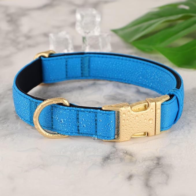 Didog Soft Padded Dog Collars for Small Dogs, Colorful and Durable Dog Collar with Quick Release