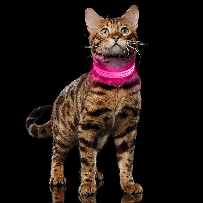Illumifun LED Cat Collar, USB Rechargeable Light Up Dog Collar, Adjustable Safety Collar Light for