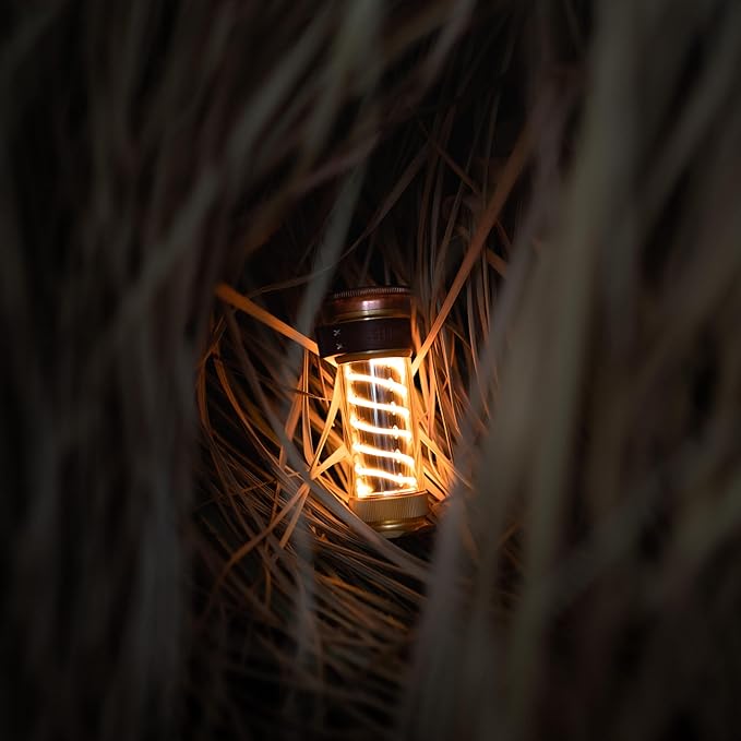 Barebones Edison Light Stick ??Brass, USB Rechargeable LED Lantern and Flashlight with 7 Modes, 40+
