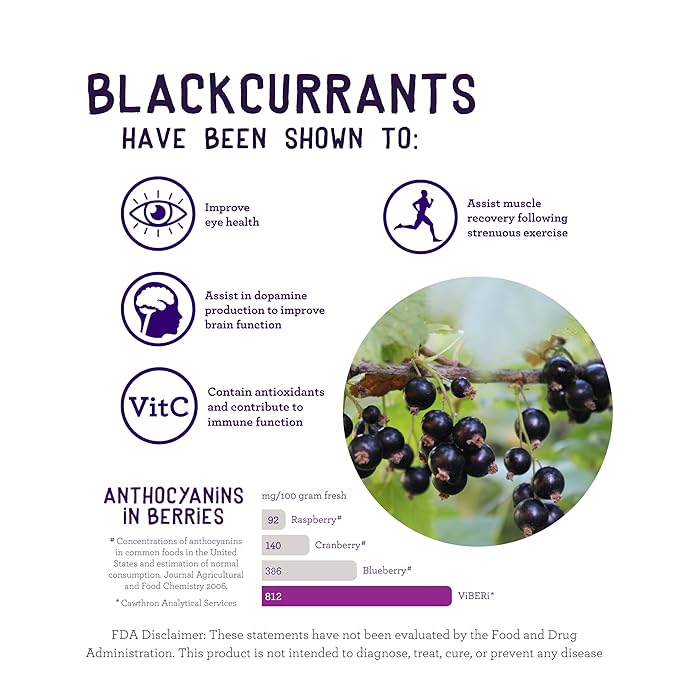 ViBERi Organic Blackcurrant Powder 450g (Loose Powder) | New Zealand Grown Superfruit | Naturally