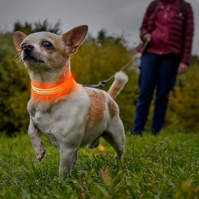 Illumifun Light Up Dog Collar for Small Dogs Cats, Rechargeable LED Dog Collar Glow at Night
