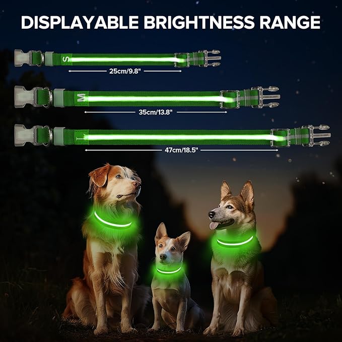 JewyowLight Up Dog Collar, Adjustable USB Rechargeable Glow in Dark Dog Collar ，Waterproof Dog
