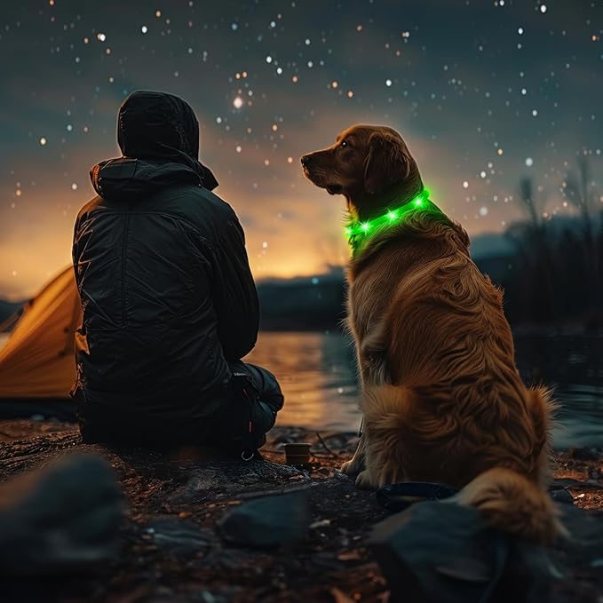 LED Dog Collar - HIGO Light Up Dog Collars Glow in The Dark, USB Rechargeable LED Dog Necklace