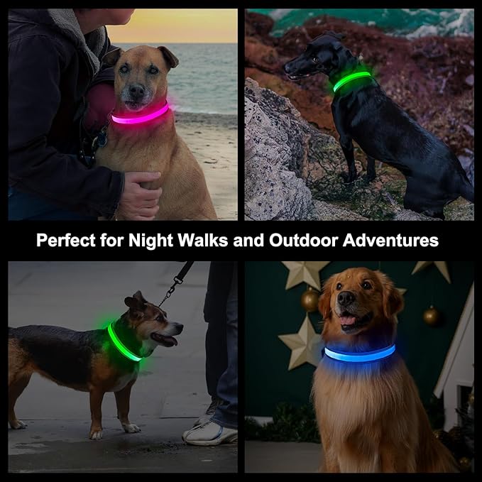 Light Up Dog Collar, Multicolor LED Dog Collar with 7 Modes, USB-C Rechargeable Reflective Glow