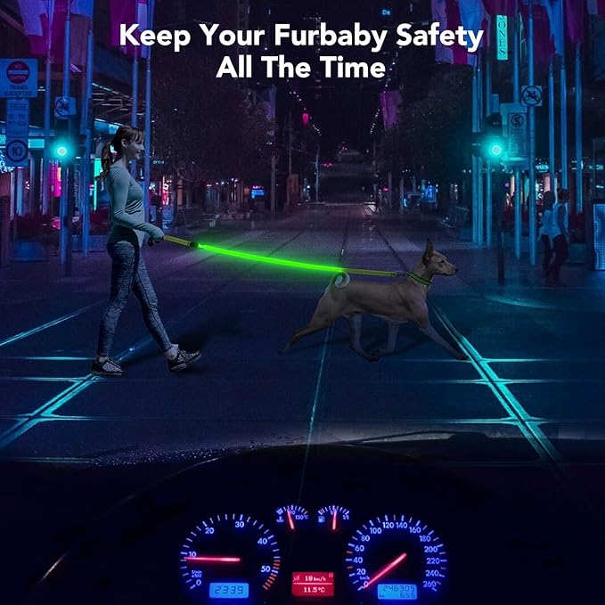 Colaseeme Light Up Dog Leash, LED Pet Leashes USB Rechargeable, Glow Safety Dogs Lights at Night