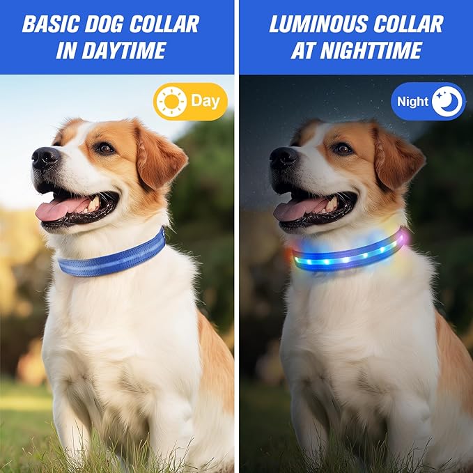 LED Dog Collar, Light Up Dog Collar, USB Rechargeable - Brightest Dog Lights for Night Walking, 6