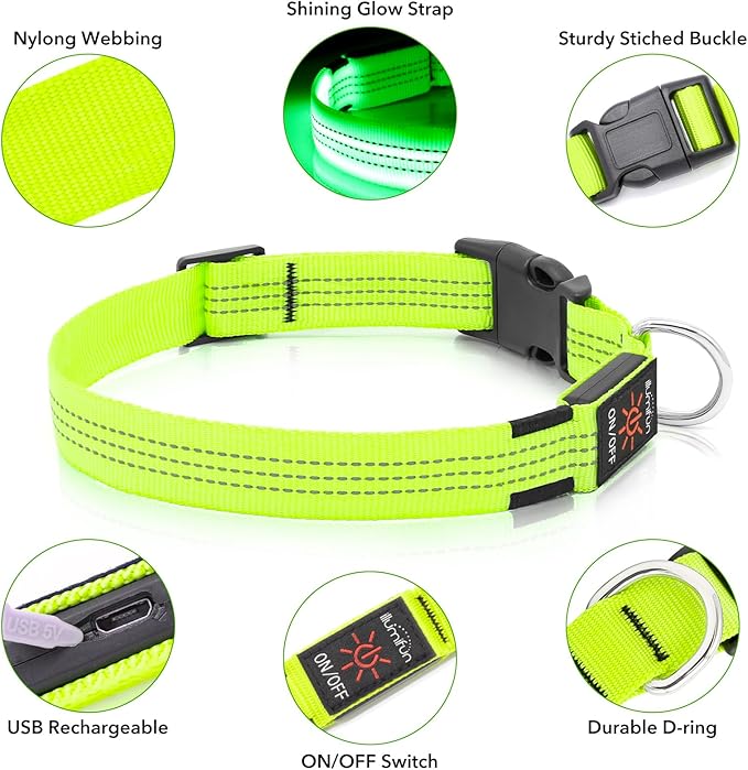 Illumifun Light Up Dog Collar, USB Rechargeable LED Dog Collar, Reflective Flash Pet Lighted Collar