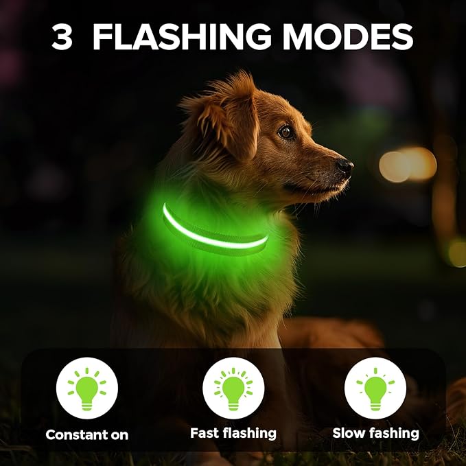 Light Up Dog Collar, Adjustable USB Rechargeable Glow in Dark Dog Collar ，Waterproof Dog Collars