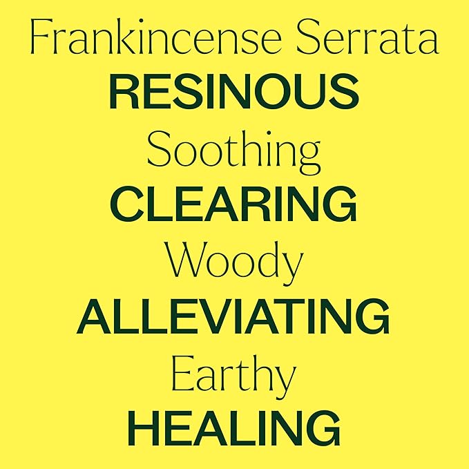 Plant Therapy Organic Frankincense Serrata Essential Oil 100% Pure, USDA Certified Organic