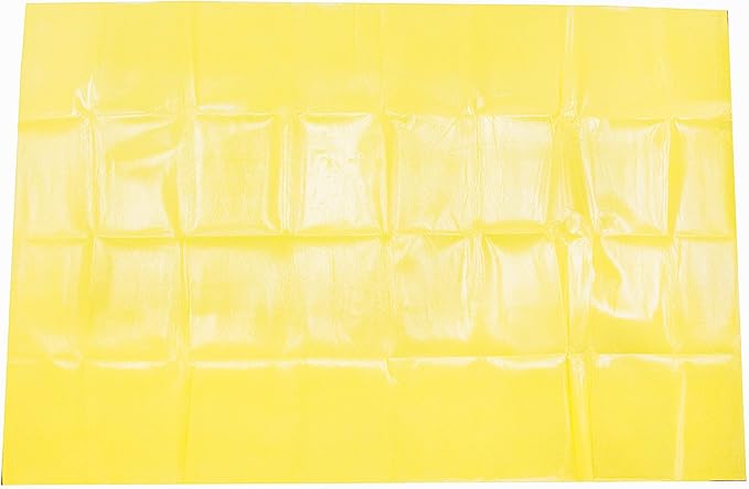 Primacare CB-6821 Emergency Disposable Transport Blanket, Lightweight and Warerproof, Space Blanket
