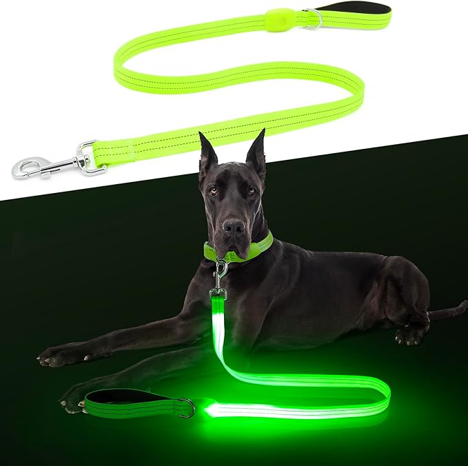 LED Dog Leash, Light Up Dog Leash 4 Ft Fully Illuminated USB Rechargeable Waterproof, Nylon