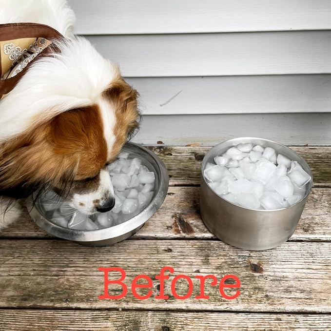 82oz Double Layers 304 Stainless Steel Dog Bowl - Insulated & Durable | Non-Slip Base | Easy to