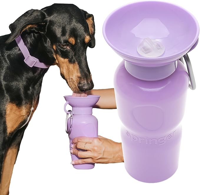 Springer Dog Water Bottle | Portable Travel Water Bottle Dispenser for Dogs | Dog Gift Seen on
