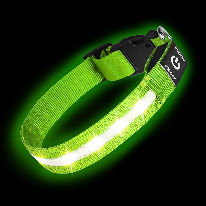 Super Bright LED Dog Collar - Fully Waterproof & Adjustable Glow Collar - USB-C Rechargeable for