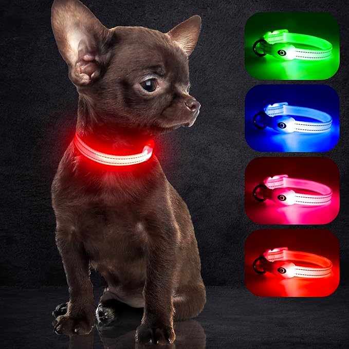 YFbrite Light up Dog Collars for Night Walking, Rechargeable LED Cat Collar, Comfortable Adjustable