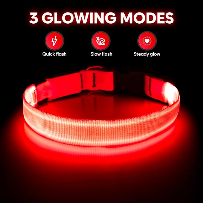Illumifun Light Up Dog Collar - USB Rechargeable LED Dog Collar Glow in The Dark, Adjustable Pet