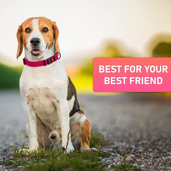 Adjustable Dog Collar with Safety Lock Buckle - Made in USA - Honeycomb Waterproof Heavy Duty Dog