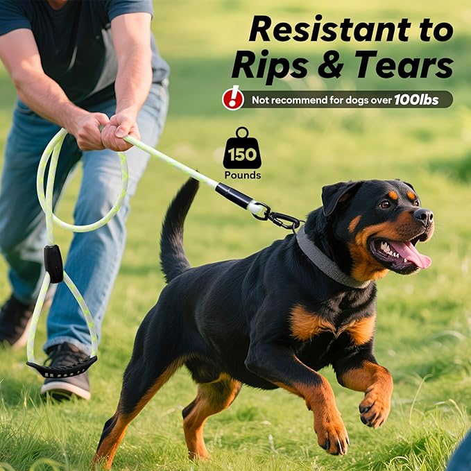 Colaseeme Light Up Dog Leash, LED Pet Leashes USB Rechargeable, Glow Safety Dogs Lights at Night