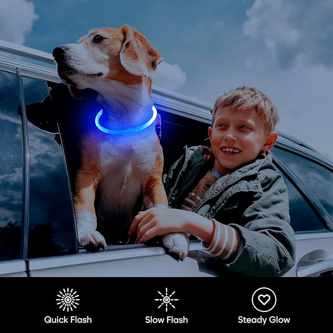 Flashseen LED Dog Collar, USB Rechargeable Glowing Lighted Up Collar, Cuttable Water-Resistant TPU