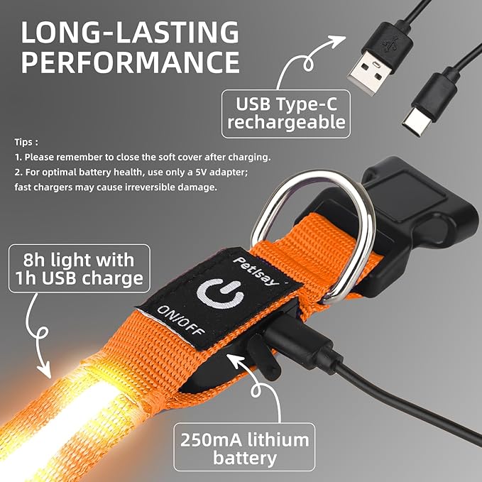 Super Bright LED Dog Collar - Fully Waterproof & Adjustable Glow Collar - USB-C Rechargeable for