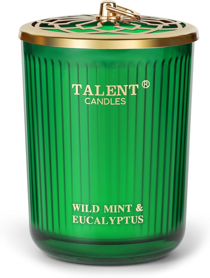 Jar Candles for Home Scented, Aromatherapy Candles Gifts for Women & Men, Natural Soy Candle, 8.4oz